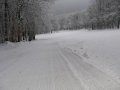 IMG-1254.JPG