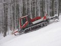 IMG-1270.JPG