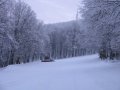IMG-1314.JPG