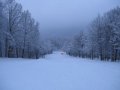IMG-1329.JPG