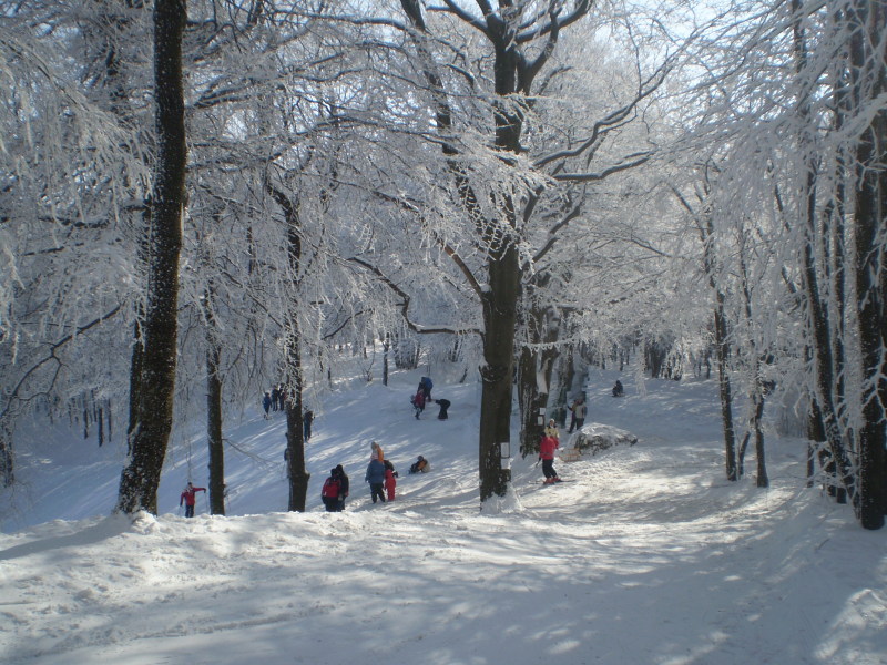 2010-Tel-Dobogoko-007.jpg