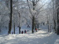 2010.02.14-Dobog�k�&nbsp;(4 k�p)