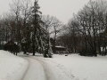 Dobog�k� 2012.12.19.