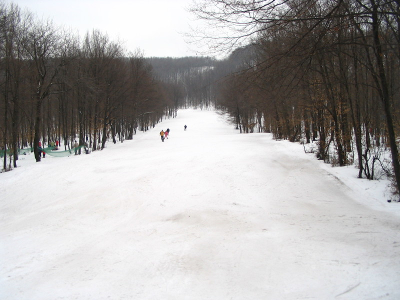 IMG_2482.JPG