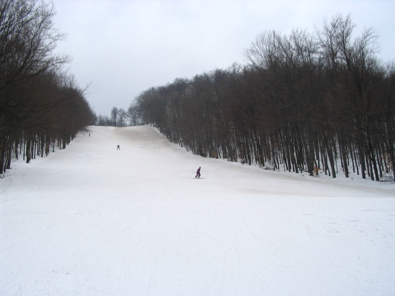 IMG_2505.JPG