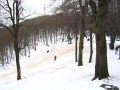 IMG_2469.JPG