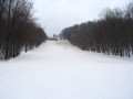 IMG_2503.JPG