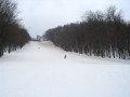 IMG_2505.JPG