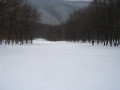 IMG_2506.JPG