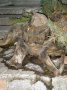 Helyi fafarag� m�v�sz alkot�sa az utc�n