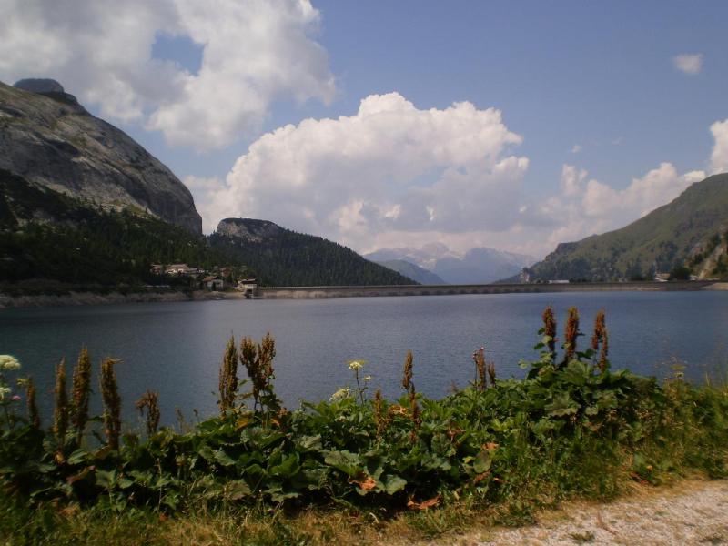 P7220235.JPG