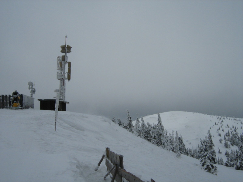 IMG-6591.jpg