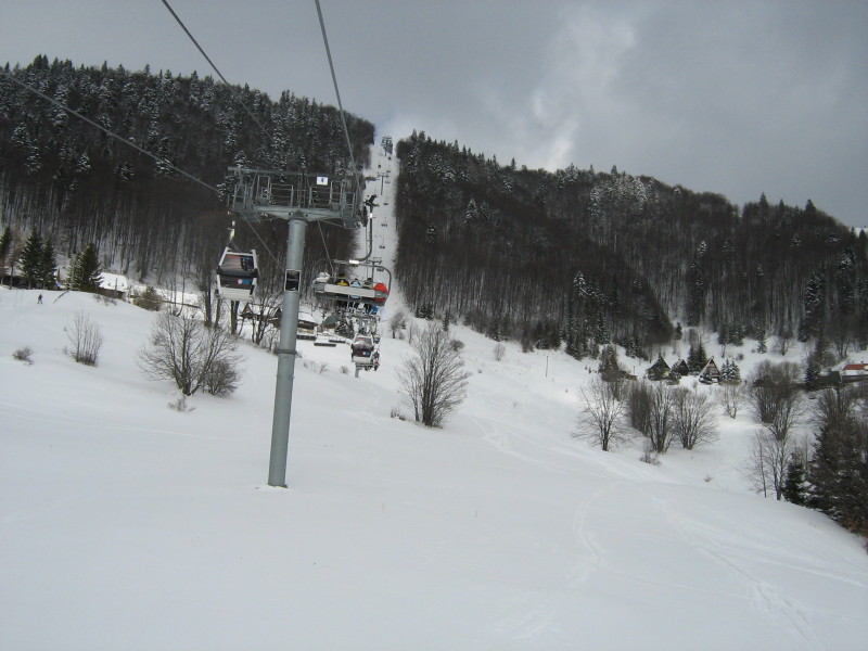 IMG-6617.jpg