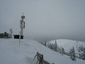 IMG-6591.jpg