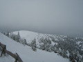 IMG-6593.jpg