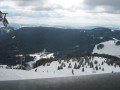 IMG-6640.jpg