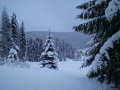 Doval-2011.-advent-050.jpg