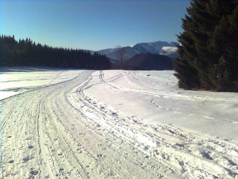 s�fut� p�lya (h�tt�rben a Krizn�val)