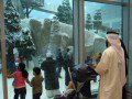 08skidubai5.JPG