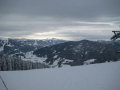 IMG-3628.JPG