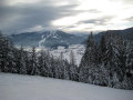 IMG-3663.JPG