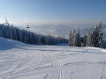 P1010814.JPG
