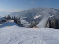 P1010846.JPG