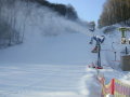 DSCN2700.JPG