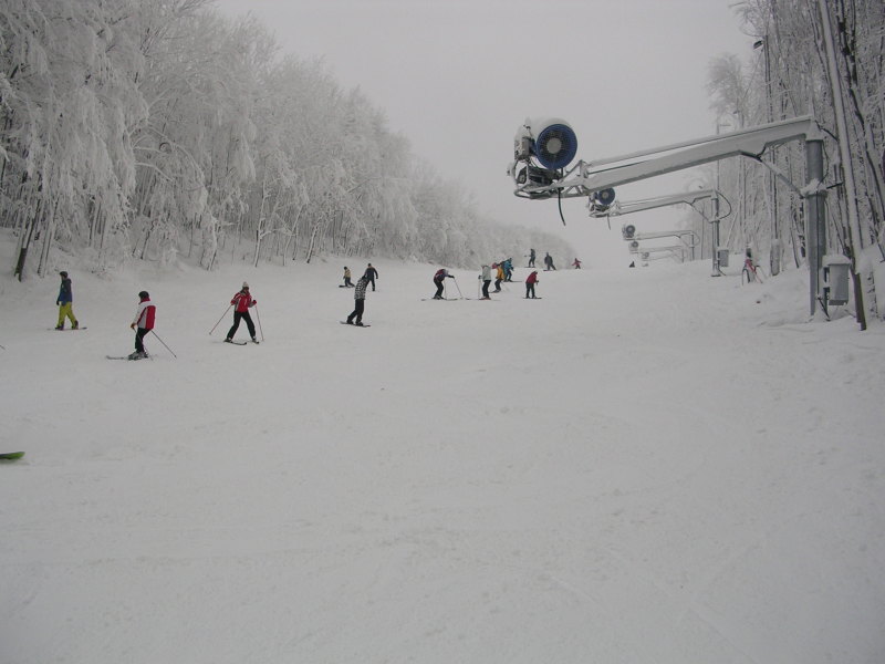 2010.-nyito-036.jpg
