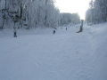 2010.-nyito-024.jpg