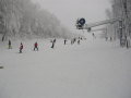 2010.-nyito-036.jpg