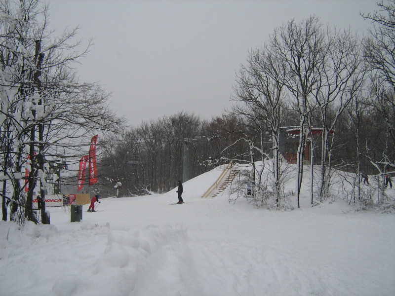 IMG-9034.JPG
