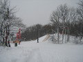 IMG-9034.JPG