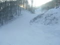 2011.-jan.-030.jpg