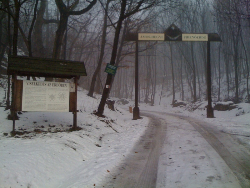 IMG-1435.jpg