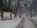 IMG-1435.jpg
