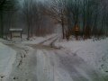 IMG-1437.jpg