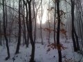 IMG-1443.jpg