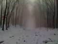 IMG-1455.jpg