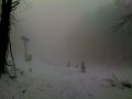IMG-1456.jpg