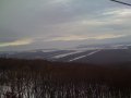 IMG-1485.jpg