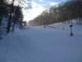 IMG-1538.jpg