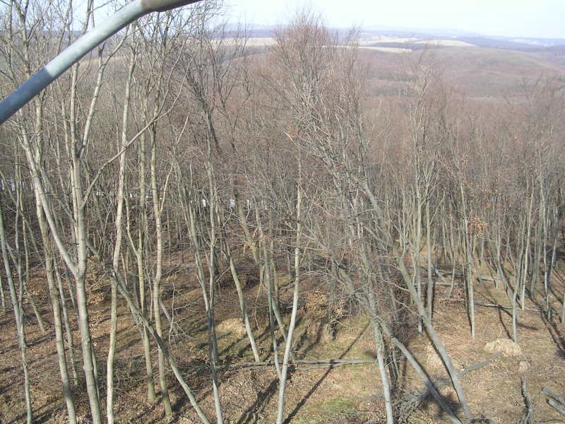 2011.-nemzeti-csuszas-022.jpg