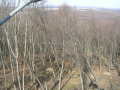 2011.-nemzeti-csuszas-022.jpg