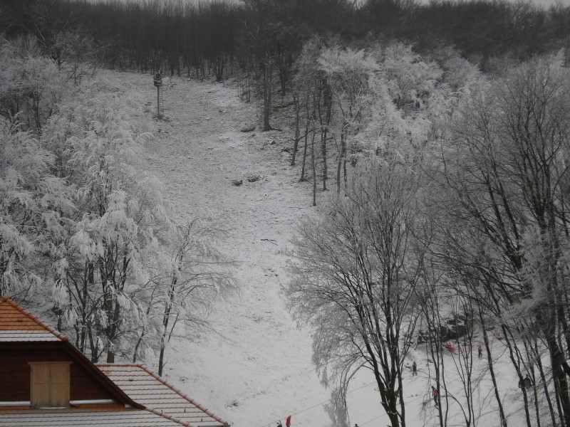 DSC08822.jpg