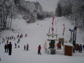 DSC08800.jpg
