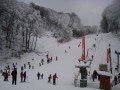 DSC08804.jpg