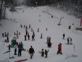 DSC08808.jpg