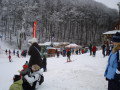 DSC08809.jpg