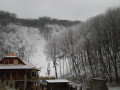 DSC08821.jpg